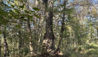 1 Mooretown Hill Rd, Beattyville, KY 41311