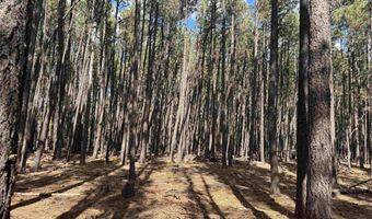 Alamosa Terrace lot 929, Angel Fire, NM 87710