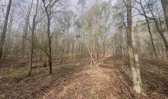 521 Mount Valley Rd, Blythewood, SC 29016