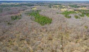 196 Pierce Rd, Beech Bluff, TN 38313