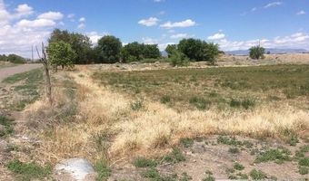 1075 Browne Ln, Fernley, NV 89408