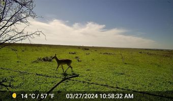 2335 CR 619, Pottsville, TX 76565
