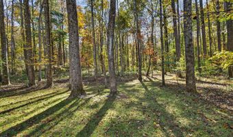 700 BATTLE MOUNTAIN Rd, Amissville, VA 20106