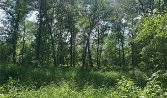Tbd 250th Street, Aitkin, MN 56431