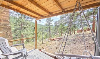 226 Hall Rd, Bailey, CO 80421