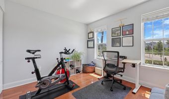 805 SPICE BUSH, Ambler, PA 19002