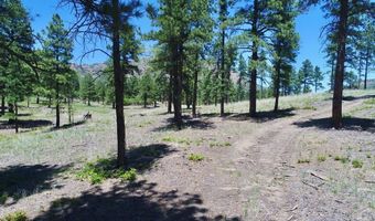 28111 County Rd 41.4, Aguilar, CO 81020