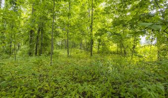 V/L 60th St Par C, Alto, MI 49302