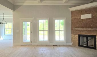 10597 Brownspring Dr 115, Apison, TN 37302