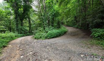 Killdevil Hill Lane unit 9 & 10 9 & 10, Bat Cave, NC 28792