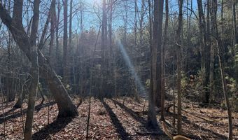 MOUNTAIN CUT RD lot B, Appomattox, VA 24522
