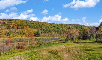 Woodland Hills Road, Andes, NY 13731