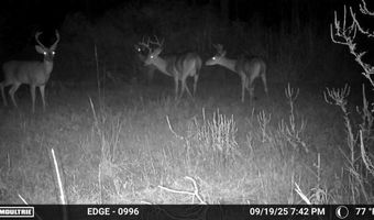 Hwy 9, Bruce, MS 38915