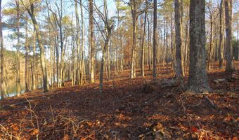 LOT # 1 ROCK RIDGE LANE, Arley, AL 35541