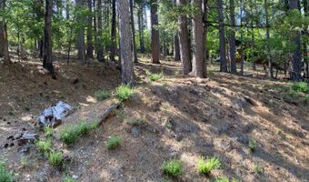 2946 Venado Dr, Arnold, CA 95223