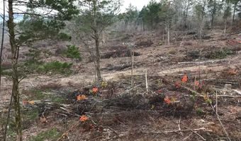 233 County Road 83, Athens, TN 37303