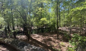 5 6 7 53 Off Highway Lot 5 6 & 7, Atkinson, NC 28421