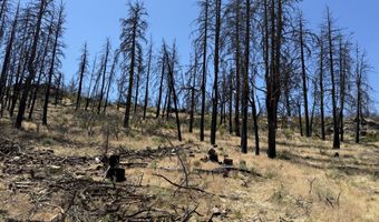 0 Wren Dr Lot 6, Bonanza, OR 97623