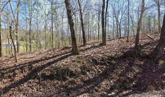 951 Harley, Ball Ground, GA 30107