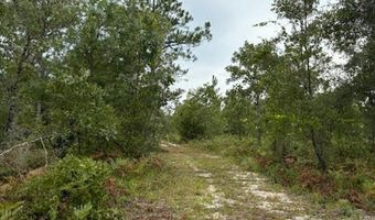 4539 NW Miller/White LN Rd, Altha, FL 32421