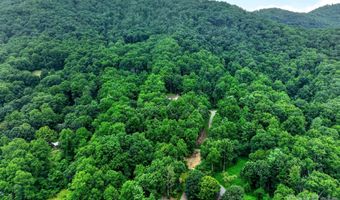 12 Beech Tree Ln, Asheville, NC 28804