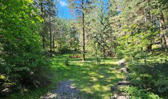 34006 Redgate Ln, Bigfork, MT 59911