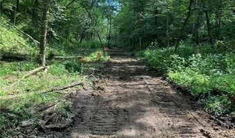 N3953-201 Bear Pen Road, Arkansaw, WI 54721