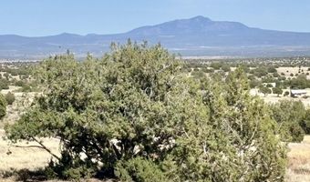 W Rawhide Ranch Road lot 46, Ash Fork, AZ 86320