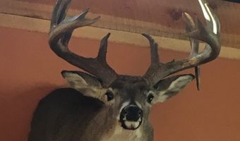 28146 382nd Ave, Armour, SD 57313