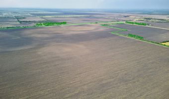 FM 665, Alice, TX 78332