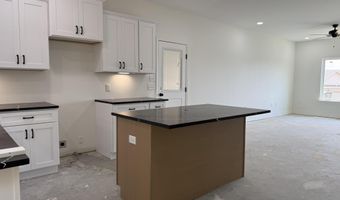 1015 Clinton Ct, Alexander, AR 72002