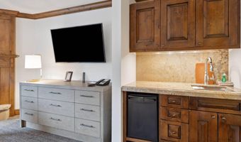 415 E Dean St Unit 38 Week 33, Aspen, CO 81611