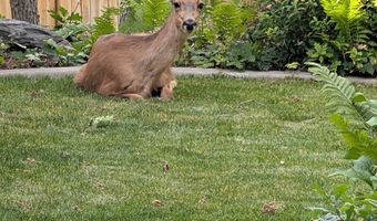 2148 S CAROLYN Way, Bountiful, UT 84010