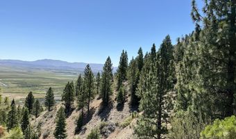 2160 Genoa Heights Ln, Genoa, NV 89411
