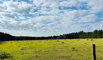 644 Ash-Harrel Loop, Abbeville, GA 31001