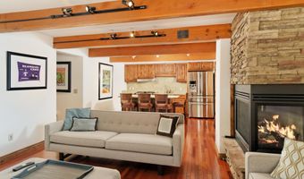 630 E Cooper Ave 1, Aspen, CO 81611