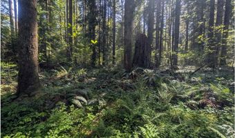 62955 E MOUNTAIN COUNTRY Ln, Brightwood, OR 97011