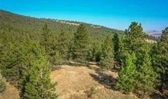 29011 Walking Horse Ln, Big Arm, MT 59910