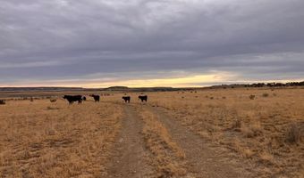 County Road 91.9, Aguilar, CO 81020
