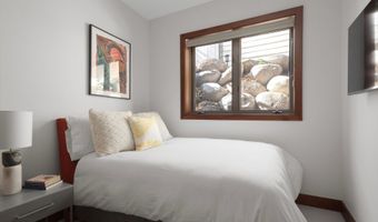 602 W Hallam St, Aspen, CO 81611