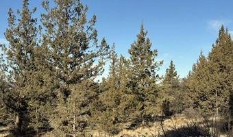 Canvasback Drive, Bonanza, OR 97623