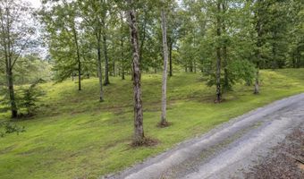 PARCEL 1 SIPSEY PINES ROAD, Arley, AL 35541
