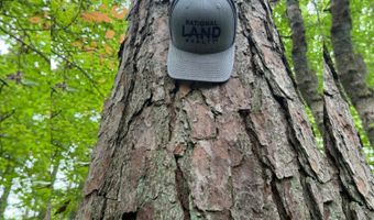 0 Carnes Chapel Rd, Attalla, AL 35954