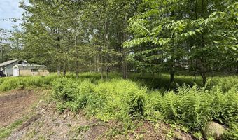 Dorshimer Ave, Blakeslee, PA 18610