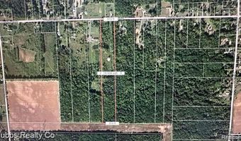 9265 Birch Run Rd, Arbela, MI 48746