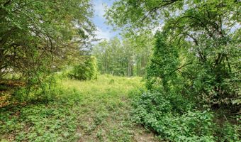 2895 Terra Nova Dr SE, Ada, MI 49301