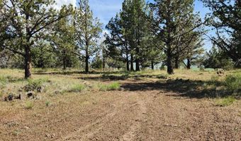 Hummingbird Lane Lot 5, Alturas, CA 96101