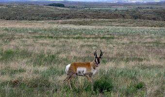 Tbd Richland Trail Clark Wyoming 80, Clark, WY 82435