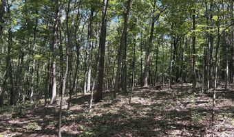 5 05 AC HOY Rd, Augusta, WV 26704