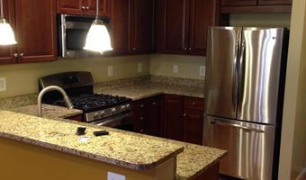 42668 HOLLYHOCK Ter 12G, Ashburn, VA 20148